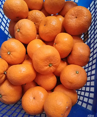 ���۸��ࡿ�����Ľ��ӻ��ܳ���