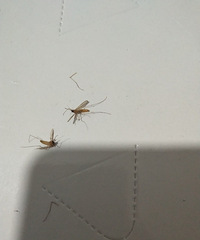 �������ġ���ô���ˣ���Ȼ��������