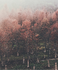 ������������ǽ���̫�٣�æµ�˹¶�����