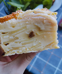 ��������ƻ�����ε��⣬�ǳ��ʺϲ�ϲ����ƻ����С����