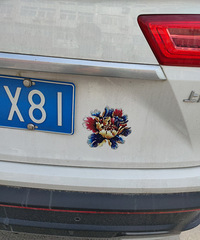 ���������ġ���ƨ�����Ǿջ���