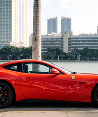 ����ɫ����