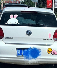 ���Ŵ������Ӻ��ܲ���һ����Ů˾��