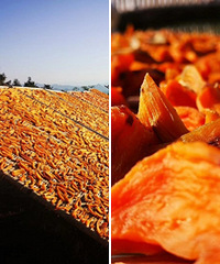 Сʱ�򣬹���С�����ǵ��