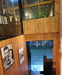 ����ţ�ţ����������������