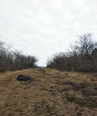 �����ŵ���֮����ɽ����������Ե����ڡ����Ը