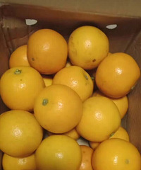 ���۸��᡿�ֵ�����ˣ������������ս���