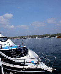 ���嵺�����С����������