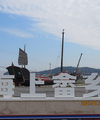 Ԫ����wanghong�ء������������ͷ��