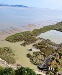 Ԫ��������ء������������ͷ��