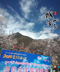 2019ظҵĸܣһ룬һ״