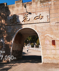 2020�����һ��̽�����롢���ҡ�·�Ž籮��·��֮���׹���