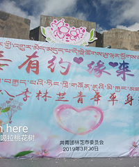 2019ظҵĸܣһ룬һ״