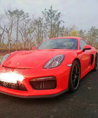 ���������ġ���ɫ����������