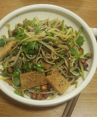 ��Ƥ��������棩��ʳ�ĳ��˻ƹϻ����⣬���������ˮ