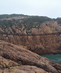 �´�¼�����ջ���ѽ��ɶ��⿪�ţ��ϴ�º�ʴ��ջ�����ڼӹ���