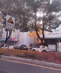 2019ܽ᡿+ԼɣߵñȽϼ