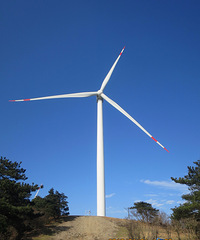 ãã��ɽ�ҽ籮��̽��̨�ݸ�����֮���5�����籮