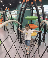 2019ܽ᡿˵һת֮꣬ϲӭ϶