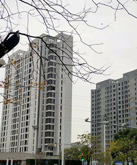 С��ֻ���嶰λ�õ��ǲ��������ڶ���ʼ��������ɫ��