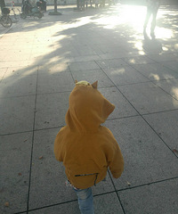 ��2019�����ܽ᡿�о�2019�����е��ۣ�����ô������Ȧ��