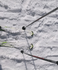 ��2019�����ܽ᡿�������ת����������Ӫ��������ɽ˵���ټ�