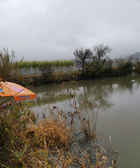 ���۸��᡿�����̲��ȾƲ��Ĳ������ˣ�һ������ʡ����Ǯ��