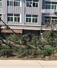 ���۸��ࡿ����̨�紵��һ�Ŵ������������ⳡ����