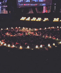 ��2019�����ܽ᡿��������Ҫ��һ�꣨��飬��֤���򷿣�װ�ޣ�