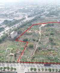 ������ֱ����¥���10095������뽷����������Ƹ�С���Եؿ�