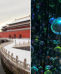 ˼����ж���Ҫ��һ����·��