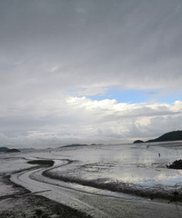 �ٺ�87���й����ϰ࣬�з��г�Т˳����