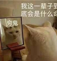 88��GG����175��ϣ����160�����Ը���