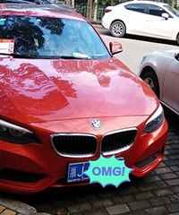 ��ɫ�ı����������ȹ���