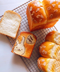 �Թ�����ģ����������̵ģ�mini����������������