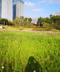 2019ܽ᡿֪Ҽ޶һˣò