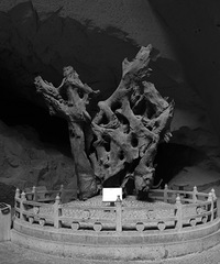 ��������ڰ�ӡ��