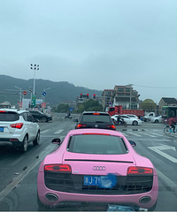 ���������ġ���ɫR8��ɧ