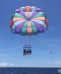 ��̨�ݴ��ڳ����Ƽ���2020ȥ�����棿̨�ݳ������ι����Ƽ�