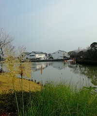 [������]ˮ�����޽��Ĳ������̵���С�ţ����ݣ������ǳ�����