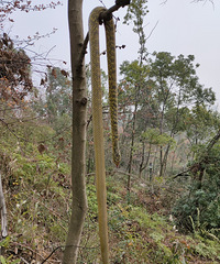 �������ġ�ż�������ߣ����ϵ���