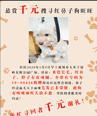 ����ǧԪ��Ѱ����ӹ�����