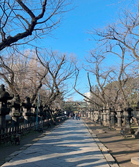 ë�¡��������㣬�����������ұ�ů