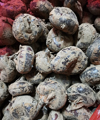 �������ġ�ĳ��������ı�����8ëһ�ݩ��3Ԫһ�