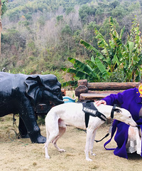 ������GLB SUV̨��֮�ǳ���֮�á����죬Ұ�ͣ���ȫ�򣬺�ʱ�⣡