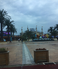 ��2019�����ܽ᡿����2�����������˼ʹ�ϵһֱ�ܲ���