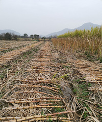 �������ġ�����1Ԫһ��Ҳû��Ҫ��40Ķ����18��