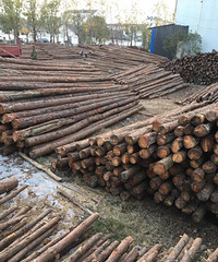 ������ľ׮4һ6��