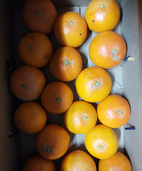 �������ġ�20���һ��ĺ����ˣ��о����Ǻ���