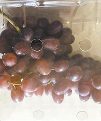 �������ۡ������ɻᡰ���Ƽݡ��� ������˵��...